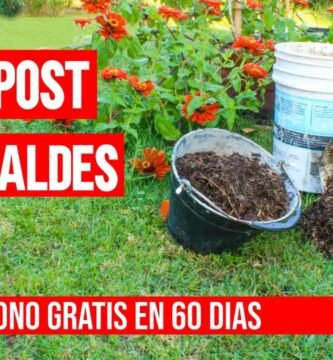 Compostador pequeña