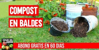 Compostador pequeña