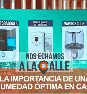 ¿A cuánto tiene que estar la humedad en casa?