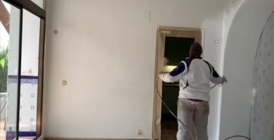 Pistola de pintura Werku