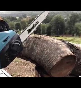 Sierras eléctricas para maderas