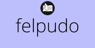 ¿Qué es un felpudo?