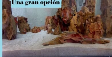 ¿Qué es la arena de sílice?