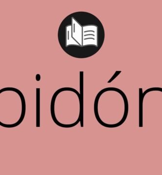 ¿Qué es un bidón?