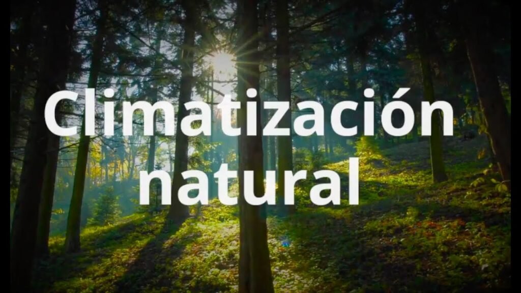 ¿Qué es un climatizador evaporativo?