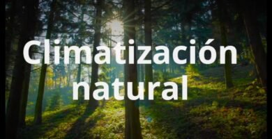 ¿Qué es un climatizador evaporativo?