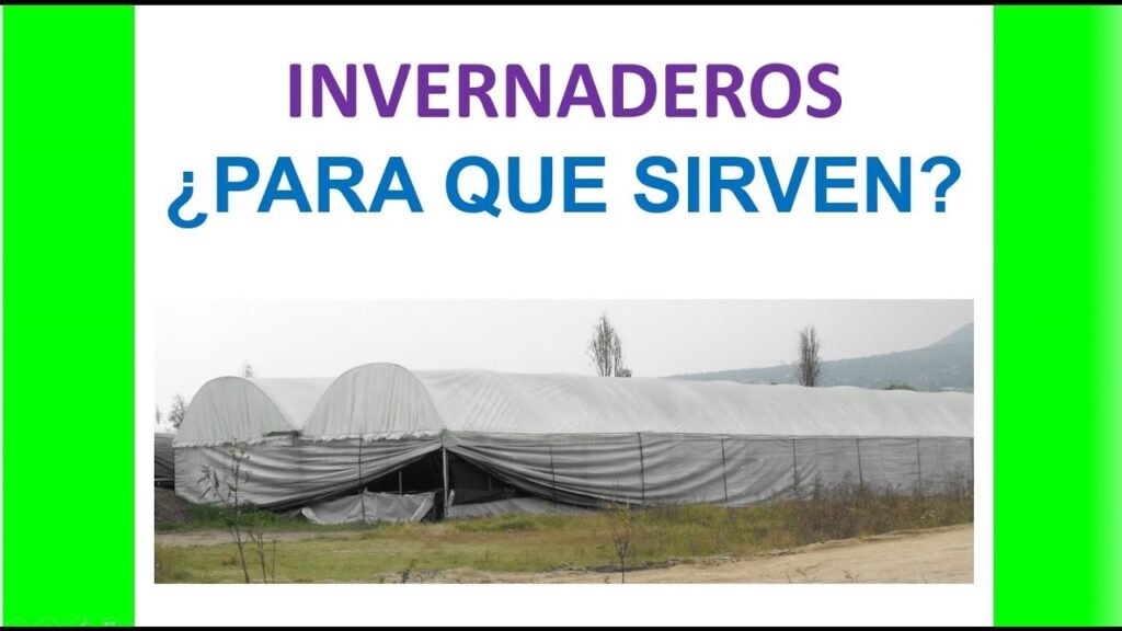 ¿Qué es un invernadero y para qué sirve?