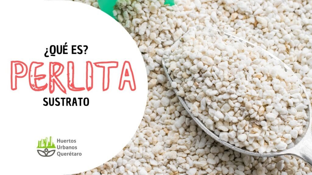 ¿Qué es la perlita para plantas?