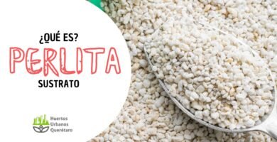 ¿Qué es la perlita para plantas?