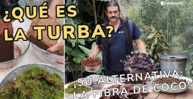 ¿Qué es la turba?