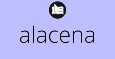 ¿Qué es una alacena?