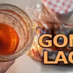 ¿Qué es la goma laca?