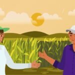¿Qué es un pluviómetro y para qué sirve?