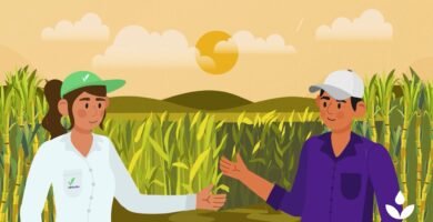 ¿Qué es un pluviómetro y para qué sirve?