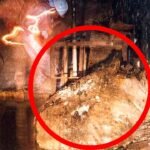 ¿Qué es una pata de elefante?