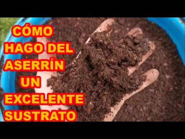 ¿Qué es el serrín?