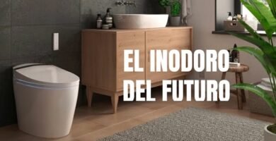 ¿Qué es un inodoro?