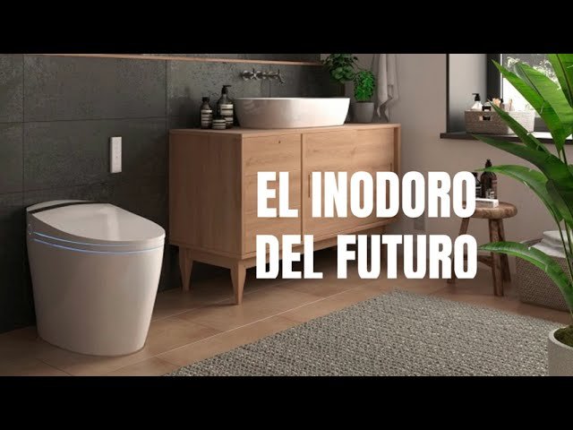 ¿Qué es un inodoro?
