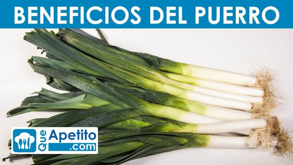 ¿Qué es un puerro?