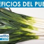 ¿Qué es un puerro?