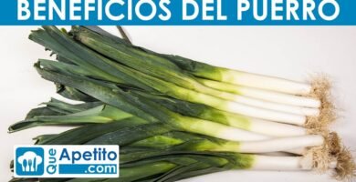 ¿Qué es un puerro?