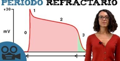 ¿Qué es un refractario?