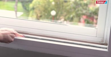 ¿Qué es Tesamoll?