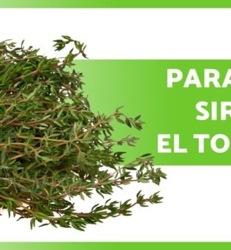 ¿Qué es el tomillo y para qué sirve?