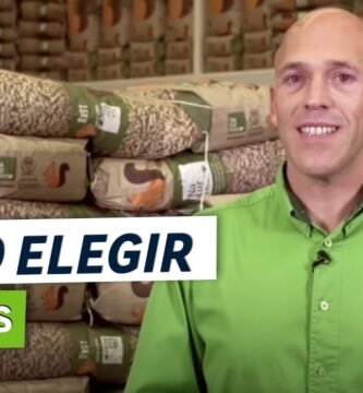 ¿Qué son los pellets?