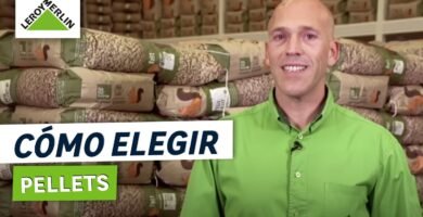 ¿Qué son los pellets?