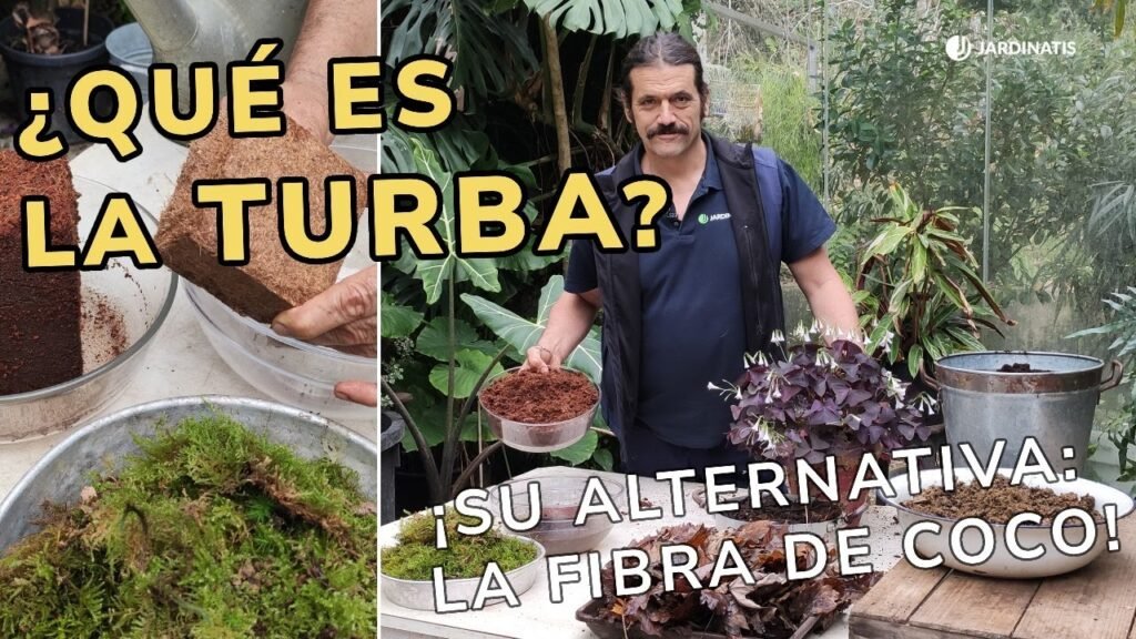 ¿Qué es la turba para plantas?