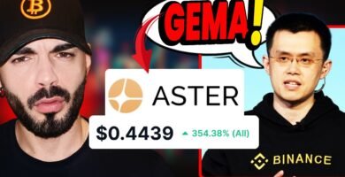 ¿Qué es un aster?