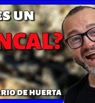 ¿Qué es un bancal?