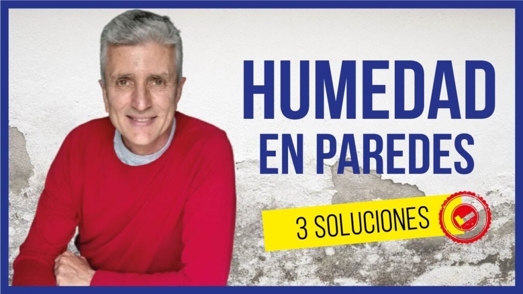 ¿Qué es bueno para la humedad de las paredes?