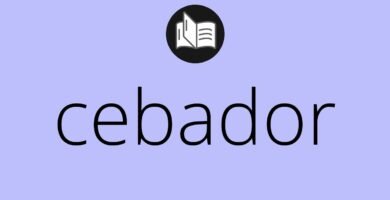 ¿Qué es un cebador?