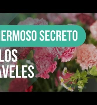 ¿Qué es un clavel?