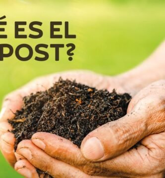 ¿Qué es un compost?