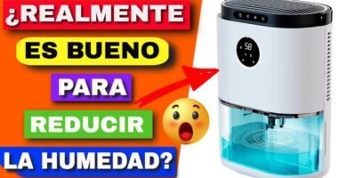 ¿Qué es un deshumidificador?