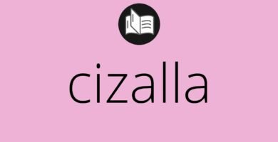 ¿Qué son las cizallas?