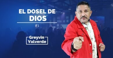¿Qué es un dosel?