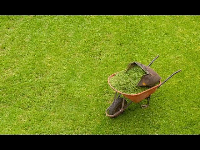 ¿Qué es un escarificador?