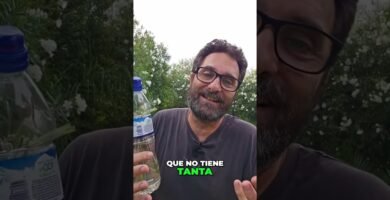 ¿Qué es un esqueje de planta?