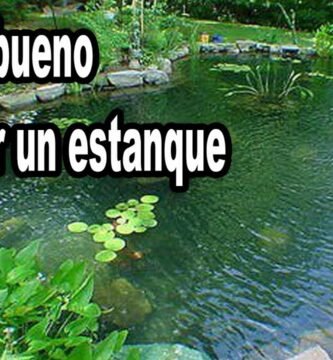 ¿Qué es un estanque?
