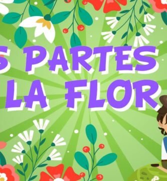 ¿Qué es un flor?