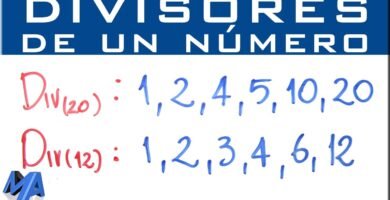¿Qué son los divisores?