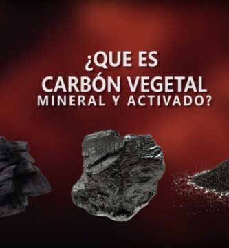 ¿Qué es el carbón vegetal?