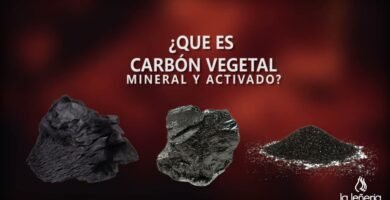 ¿Qué es el carbón vegetal?