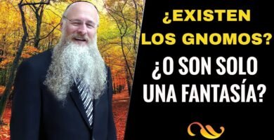 ¿Qué es un gnomo?