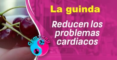 ¿Qué es un guindo?