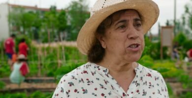 ¿Qué es un huerto urbano?